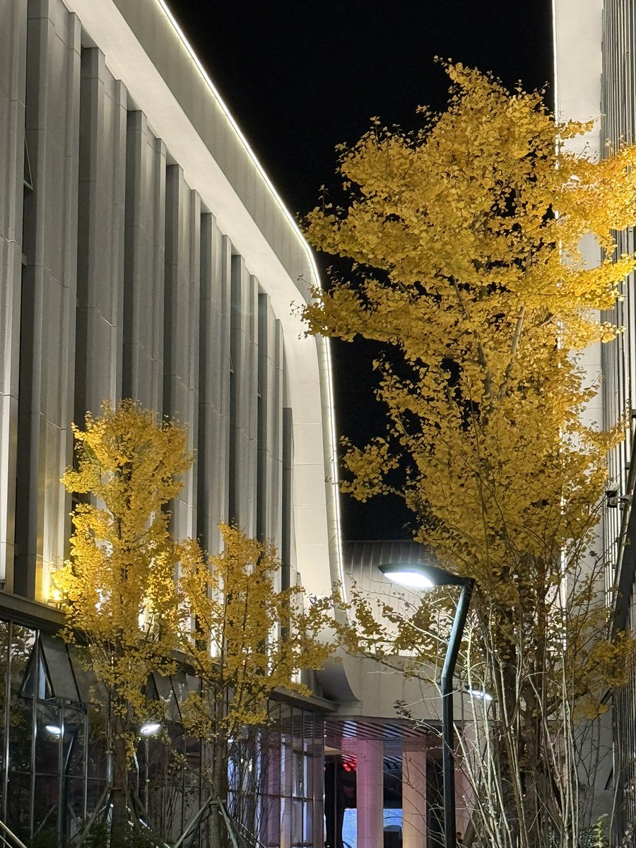 ʚ🧸ྀིɞ小阿姨 tweet media