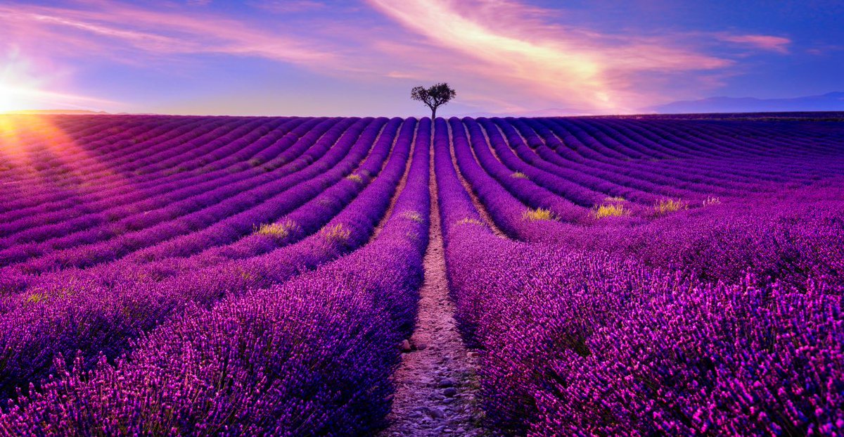 Umwandlung einer Stiftung mit
Vermögenserhaltungspflicht in eine
Verbrauchsstiftung mll-news.com/umwandlung-ein…