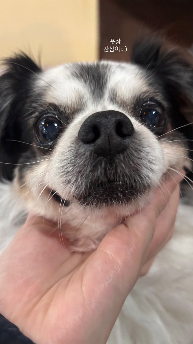 #WekiMeki #위키미키 #SEI #세이