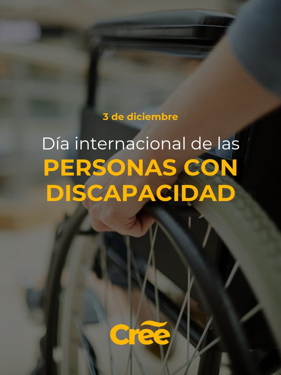 Los 365 días del año nuestro compromiso es firme: trabajar junto a las personas con discapacidad para construir una sociedad sin barreras. Por sus derechos, por la dignidad, por un día a día mejor.
Compromisos:
#Accesibilidad 
#Igualdad
#Derechos
#DiaInterncionalDeLaDiscapacidad