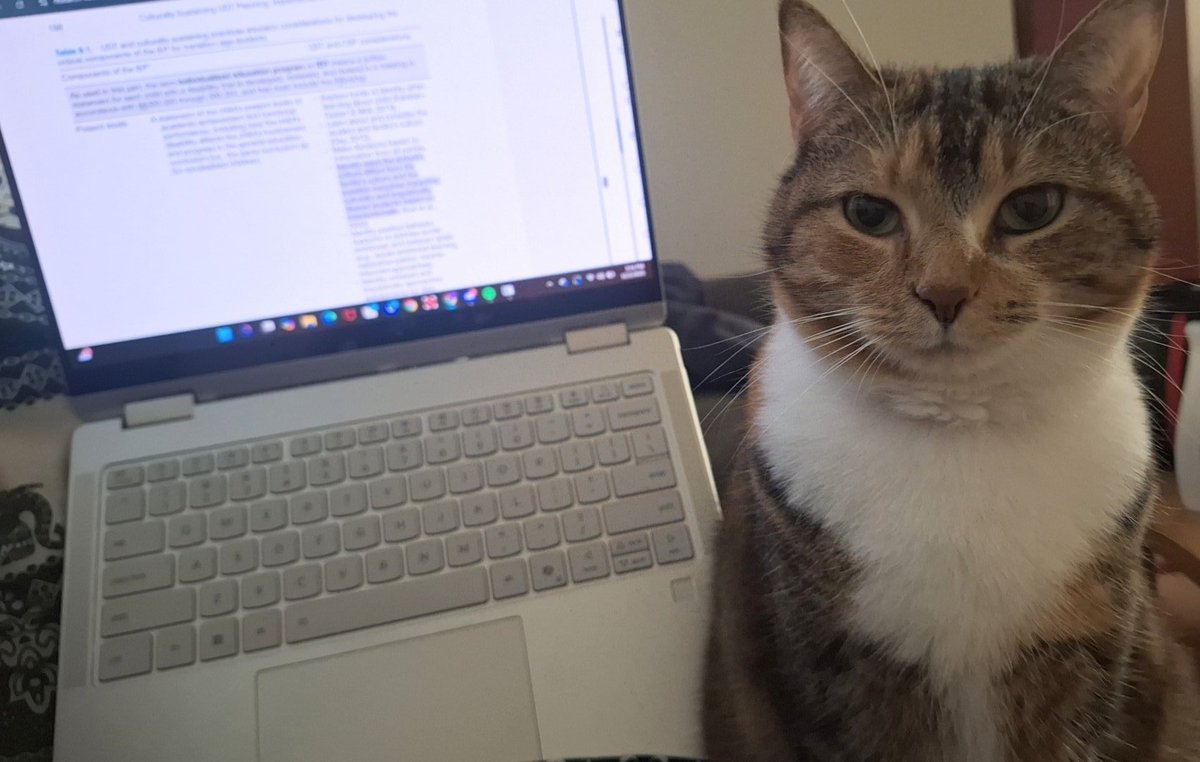 goatedkittycat's tweet photo. She is fed up https://t.co/U2rg61ta6N