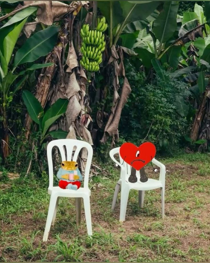 BAD BUNNY DAILY UPDATES tweet media