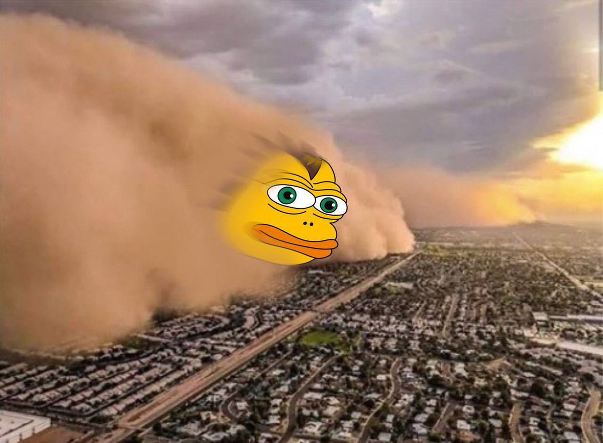 zapkoo's tweet image. $PINO ON SOLANA GREEN CANDLE COMING