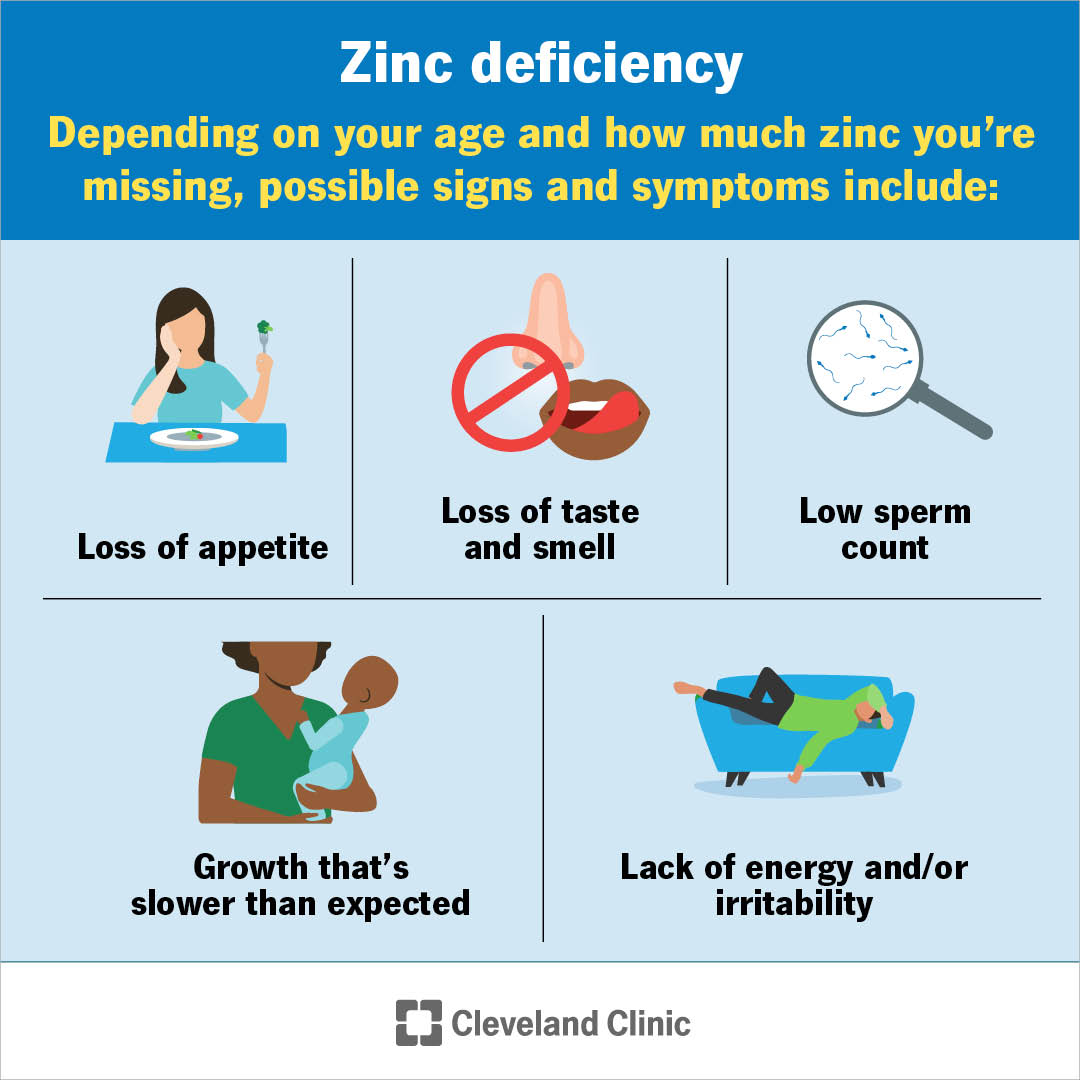 Zinc is a mineral that does lots of important work in your body — from fighting germs and healing wounds to supporting a healthy pregnancy. Your body can’t make zinc, so you need to get it from foods (and sometimes, from supplements).

It’s possible to have a bit less zinc than