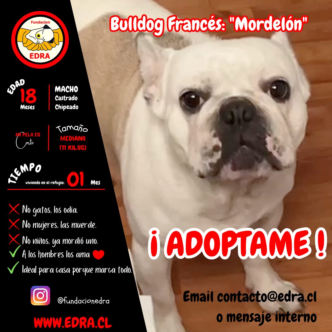#FundacionEDRA tweet media