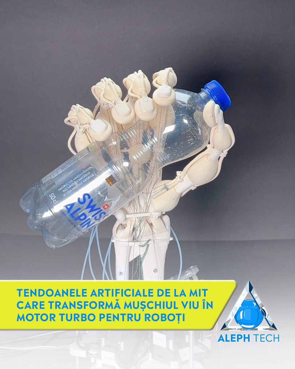 AlephTechNews's tweet image. MIT a pus „tendoane” din hidrogel pe mușchi crescut în laborator și a scos un bio-robot care prinde de 30× mai tare și se mișcă de 3× mai repede. 

Citește mai multe pe alephtech.ro

#biohybridrobots #softrobotics #mitresearch #hydrogel #futureofrobots