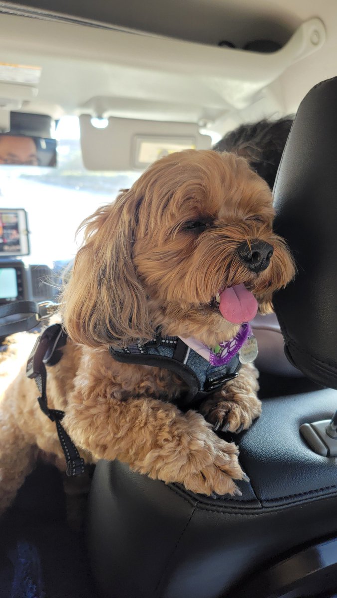 マシンガンおじさん (@syugls1794) / Posts / X