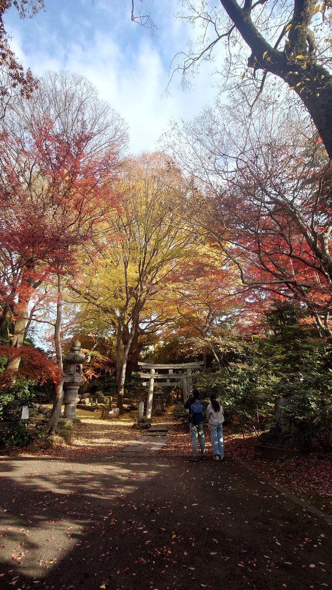 Kiku50j's tweet photo. 在原業平生誕1200年記念特別展「伊勢物語」🖼根津美術館
ご先祖さまの生誕祝い🤪
筒井筒や東下りの八橋、隅田川などのくだりの歌は学生時代諳んじられたのですが…若い頃の記憶というのも儚いもの
今日から5日まで日頃入れない茶庭が開放されるのでこの機会にぜひ
#nezumuseum
#南青山で紅葉狩り https://t.co/PO5tmN7JGB