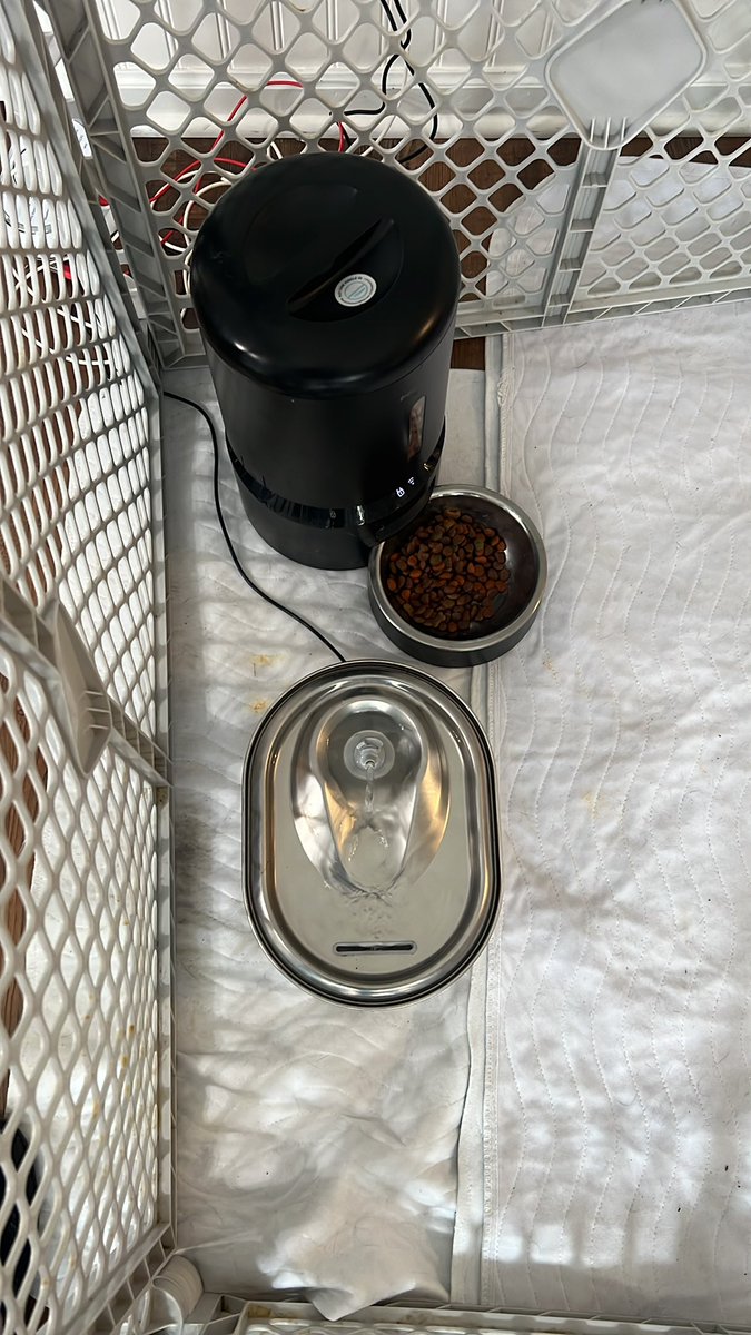 Janet Vuksta James🇺🇸 tweet media