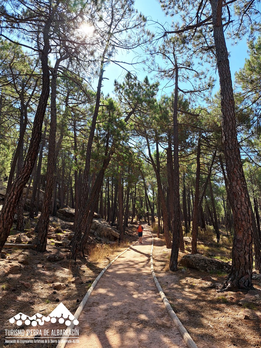 TurismoAlbarracin tweet media