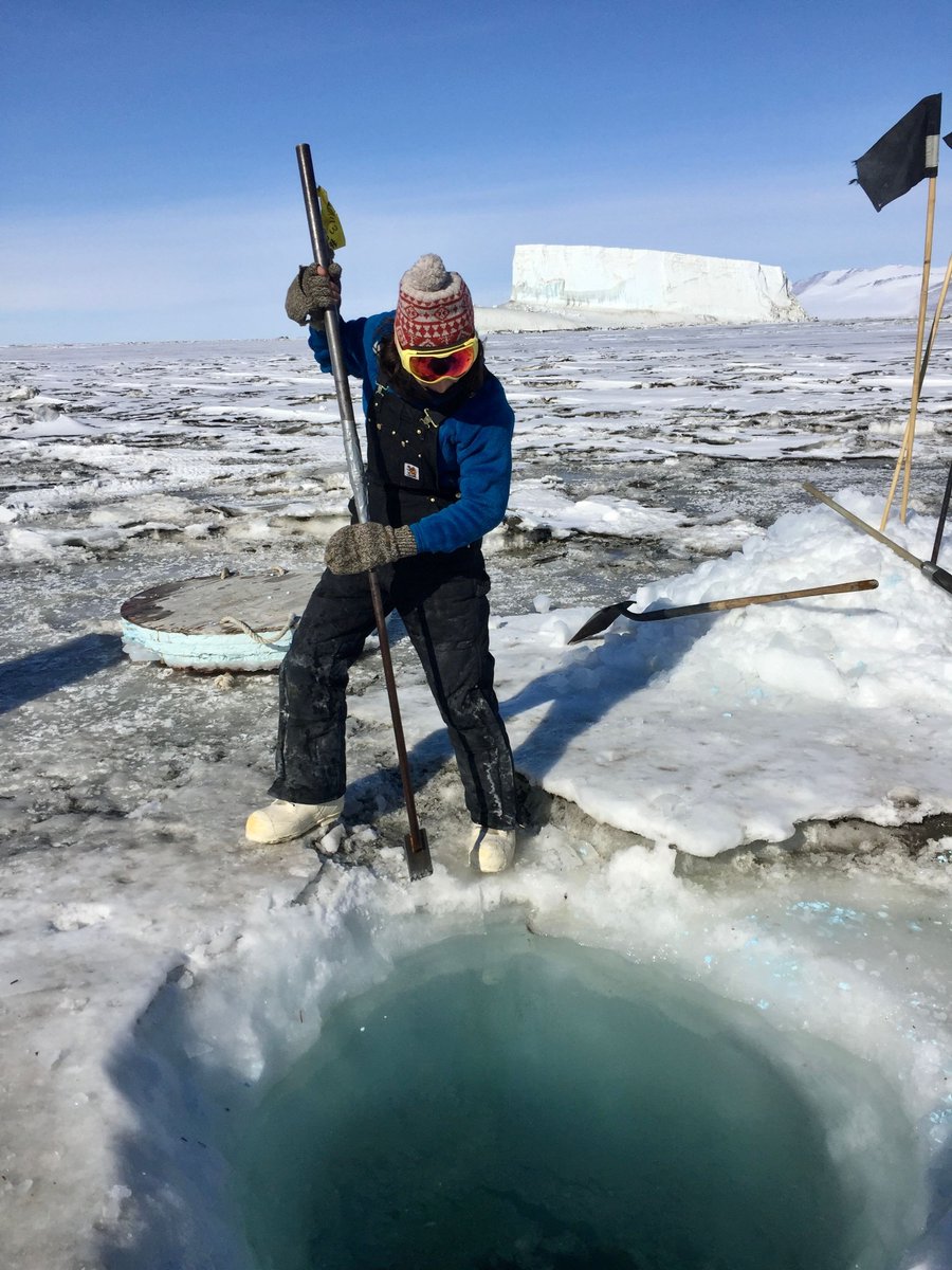 A little throwback: Former doctoral student Amanda Andreas (Dept. of Environmental Health Sciences) went all the way to Antarctica and back— twice.  She was there on a mission to collect specimens of tiny but important single-celled aquatic organisms known as foraminifera.