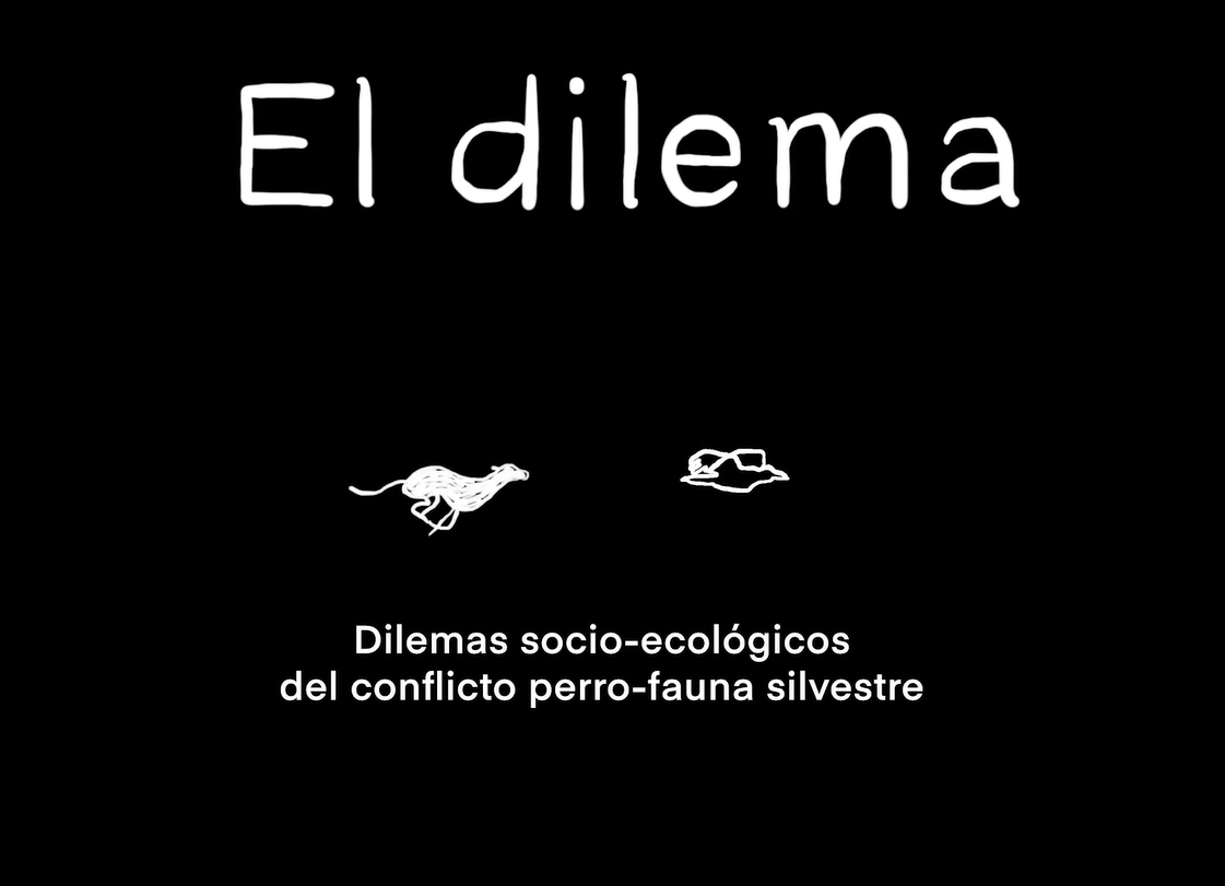 "De Perros: El dilema" Es un proyecto de investigación audiovisual que busca retratar el fenómeno de los perros en Chile desde diversas perspectivas que permitan abordar su gran complejidad.  

youtube.com/watch?v=UemZ7s…
