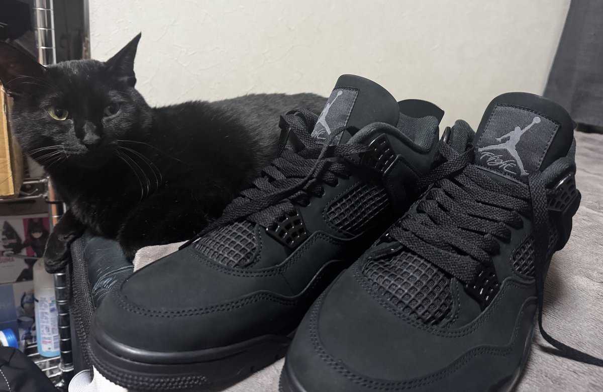 我が家の黒猫とJORDAN4'BlackCat'