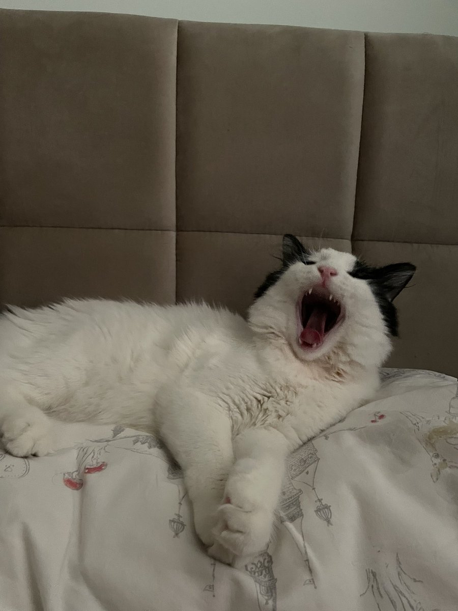 azar yedik 3 gün yoktuk diye hak ettik eyvallah