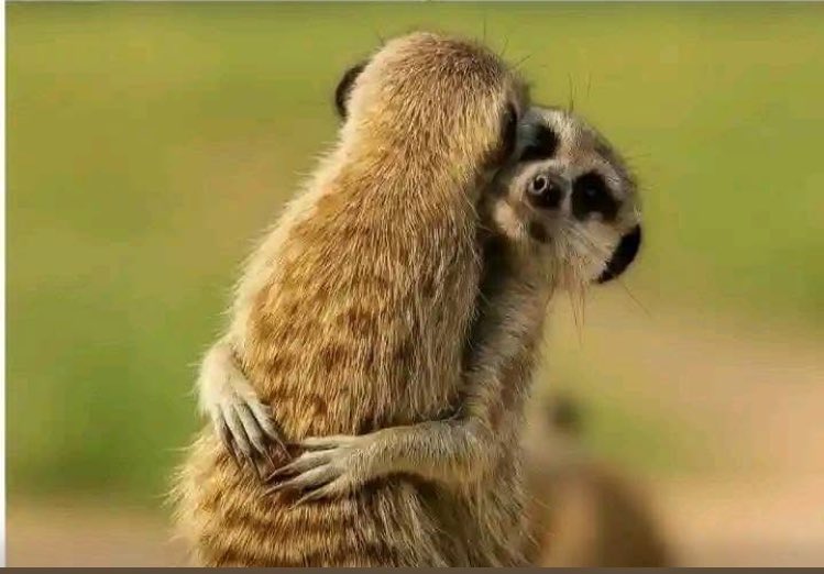 A message to all the women here..
Pamper your men!
Make them to feel at home when they are around you!!
Spoil them with gifts!!!
They deserve love too!!!