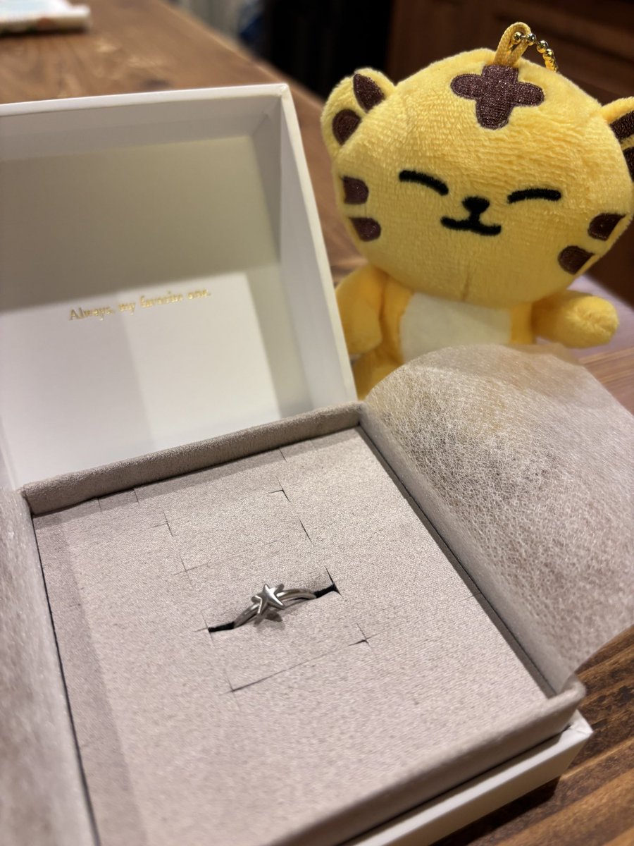 doumaimono's tweet photo. eteで見つけた星のリング💫
月が綺麗ですねアクセサリーも探しています🌙 https://t.co/OzF9s8TB26