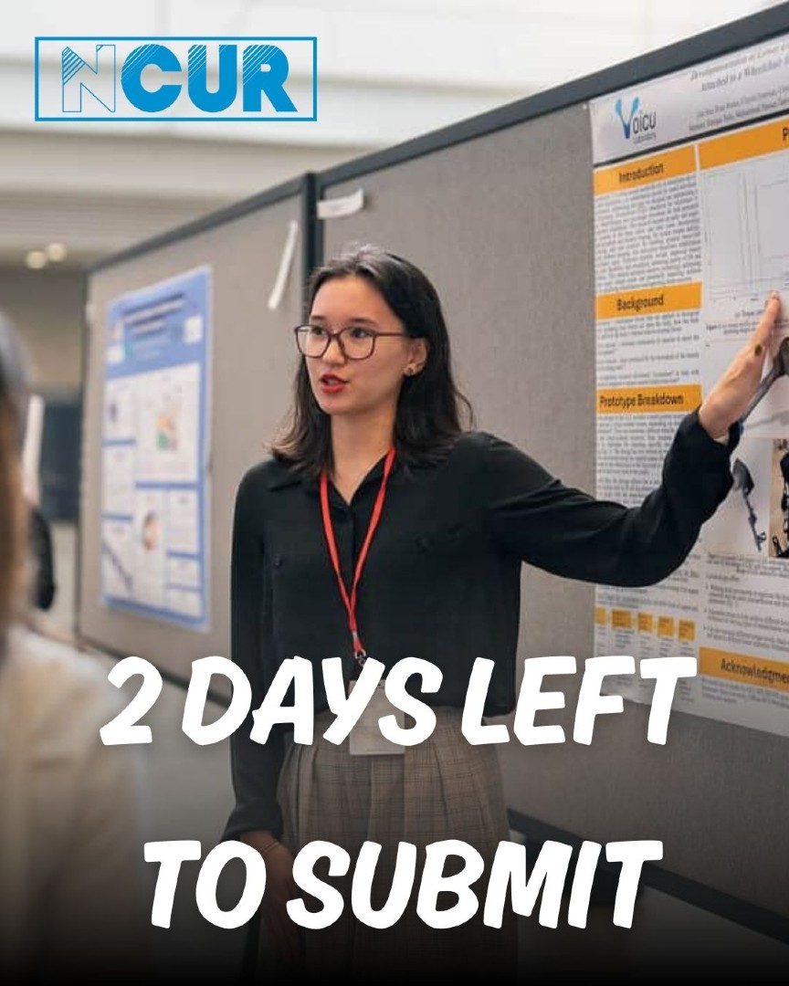 UofR U'Grad Research tweet media