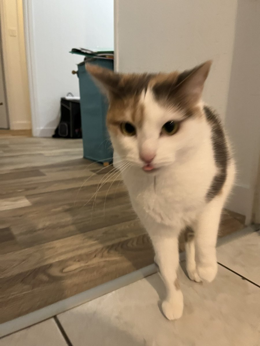 toupie trop contente de revoir sa maman 😝😝