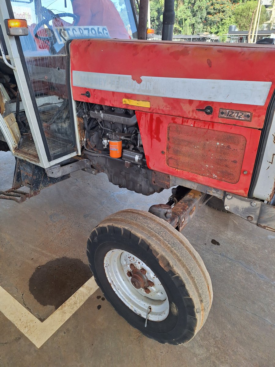 Edward Wolff tweet media