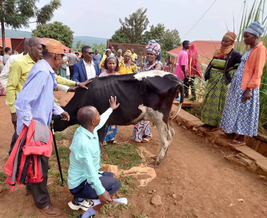 Disability Inclusion Rwanda (DIR) tweet media