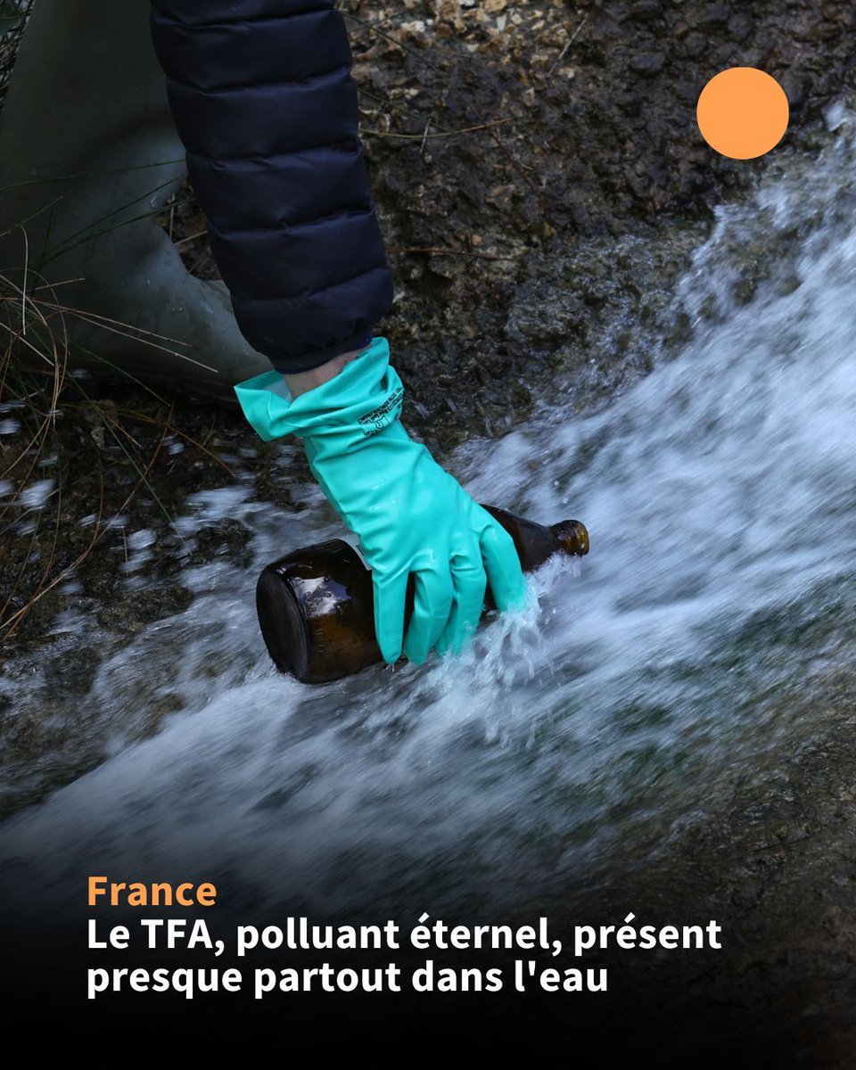 Le TFA, "polluant éternel" de la famille des PFAS, est présent dans 92% des eaux en France, selon des mesures publiées par les pouvoirs publics, qui confirment les craintes des associations environnementales.