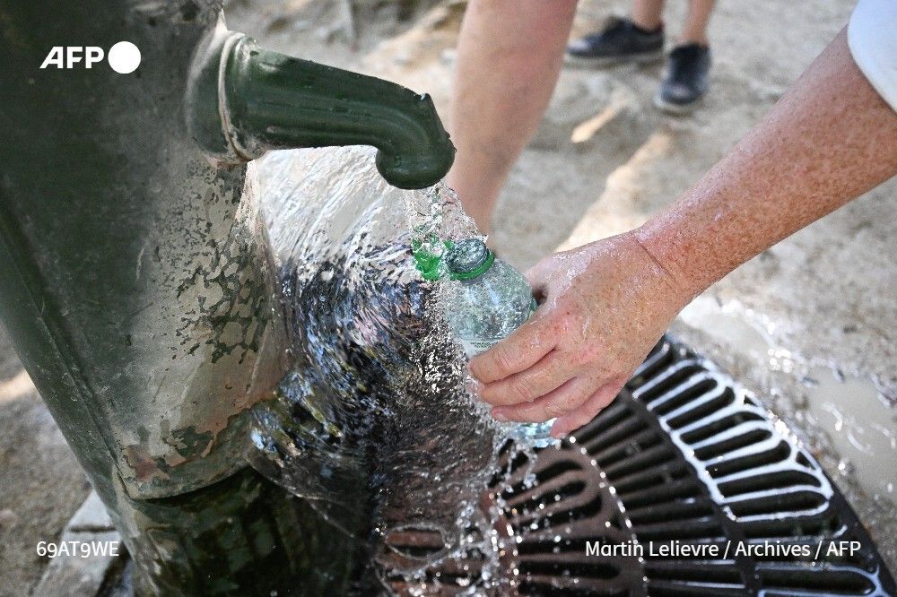 Le TFA est un composé qui, selon plusieurs études, paraît nocif pour le foie et la fertilité, et fait courir aux fœtus le risque de malformations. Il est extrêmement persistant dans l'environnement, mobile et capable de contaminer largement toute la chaîne alimentaire, solides