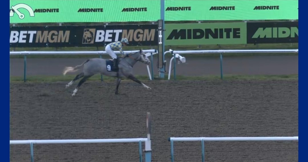 Macracing. tweet media