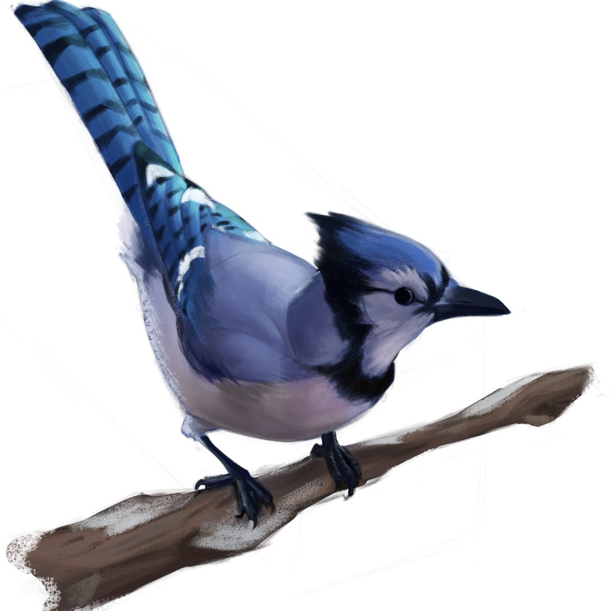 Back2drawing tweet media