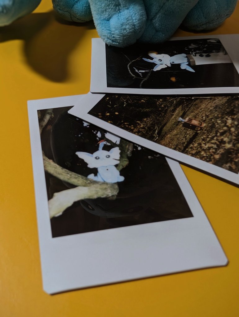 シャワーズの日だったんだって、シャワーズ
#シャワーズの日