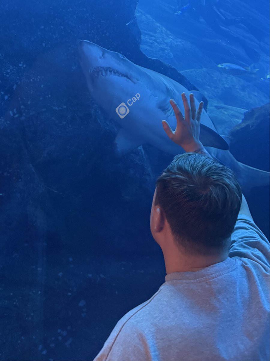 today I visited an aquarium and bumped into a shark who happened to be a huge fan of @Cap. he even had his own Cap shark merch.

we spoke about B2B SaaS and how he's excited about our 0.4.0 release

also turns out he's an upcoming shark on Shark Tank and offered to invest $500m.