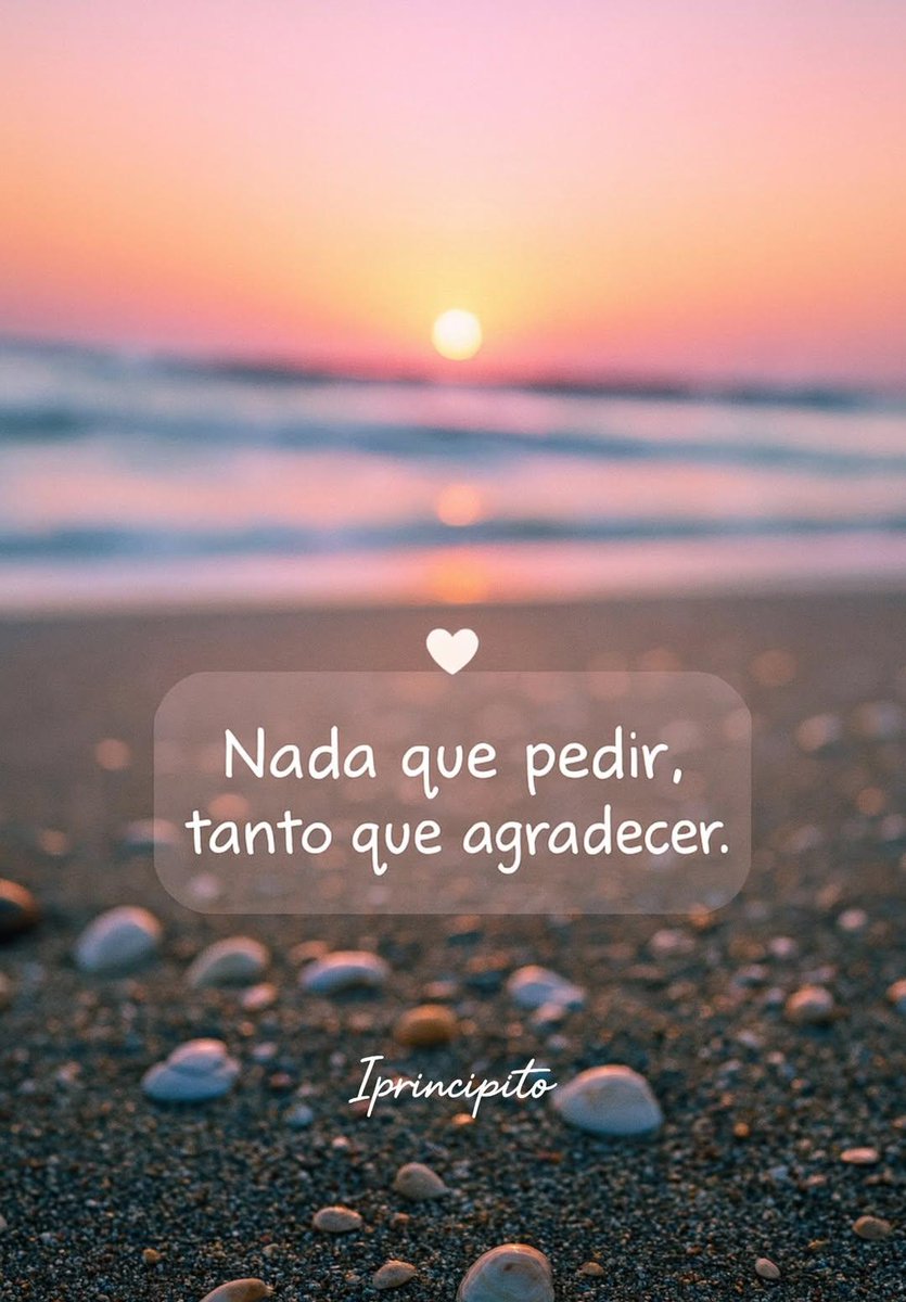 🌸 tweet media