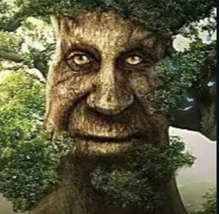 haddockbridger's tweet image. 