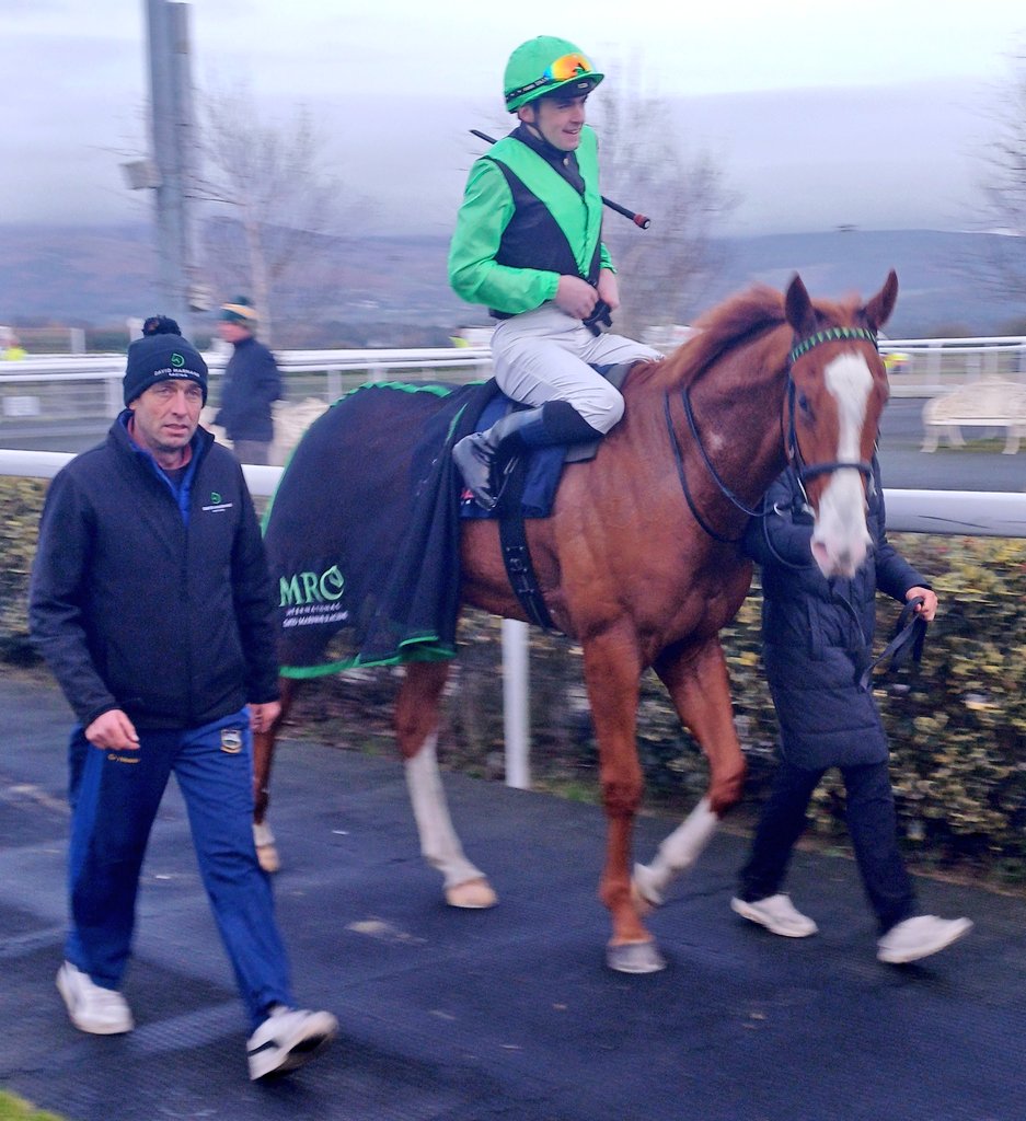 Fox In Flight and <a href="/lukemcateer123/">lukemcateer</a> <a href="/DundalkStadium/">Dundalk Stadium</a>
