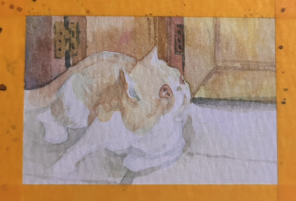 坑人秀 tweet media