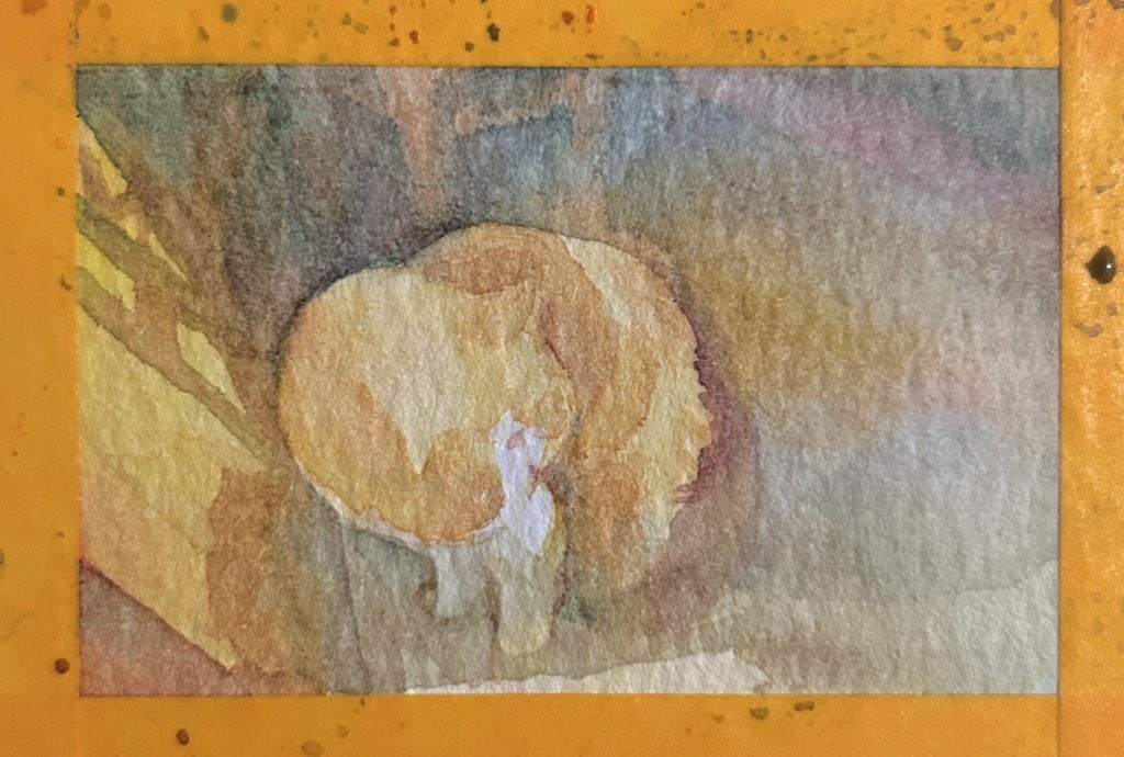 坑人秀 tweet media