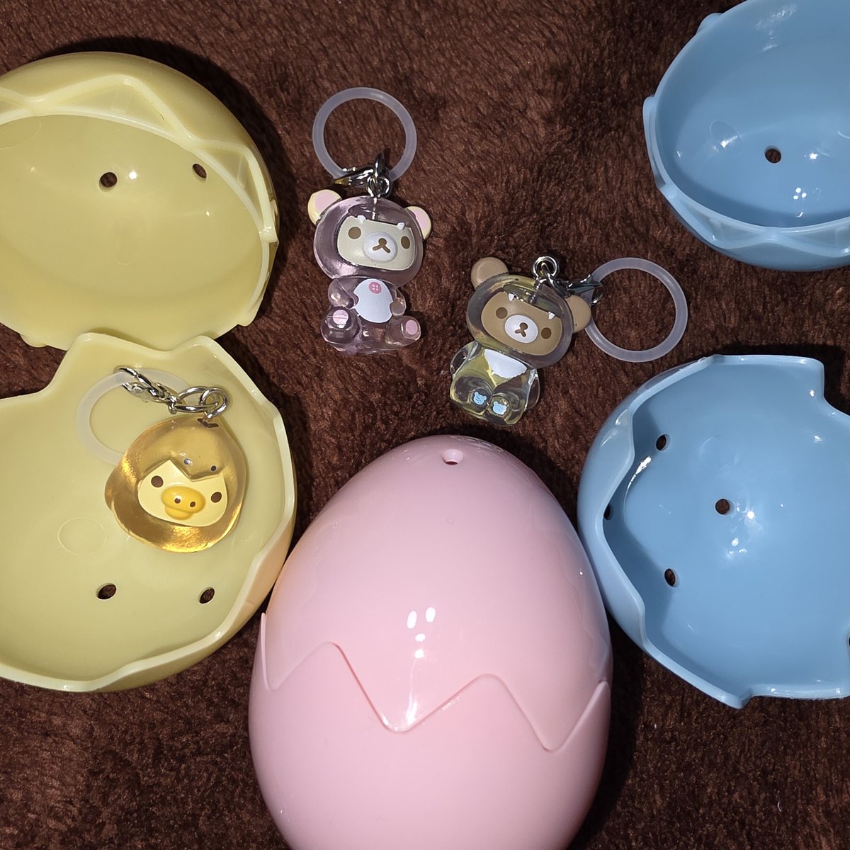 うーちゃん (@uchan_hachi) / Posts / X