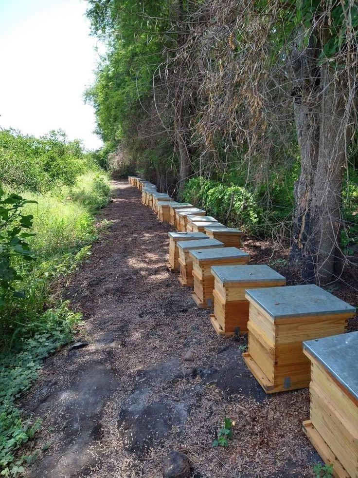 HiveMasterCo's tweet photo. Join our growing network of empowered growers, to access discounted bundles of solar pumps + irrigation kits and free beekeeping workshops.

We are Empowering Kenya’s Future: Grow Smarter, Save Water, Harvest More with us. Don't wait! 🤙 0723570061 https://t.co/pDos6brkKC