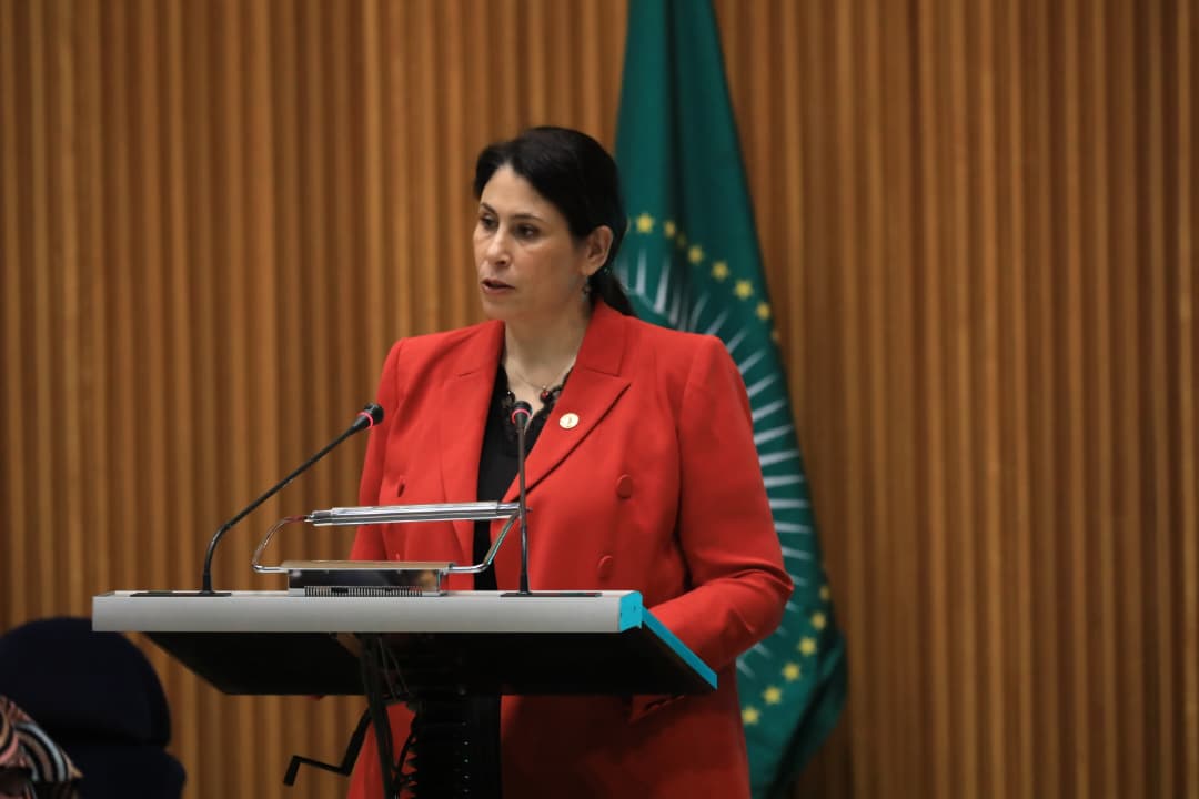 H.E Amb. Selma Malika Haddadi tweet media