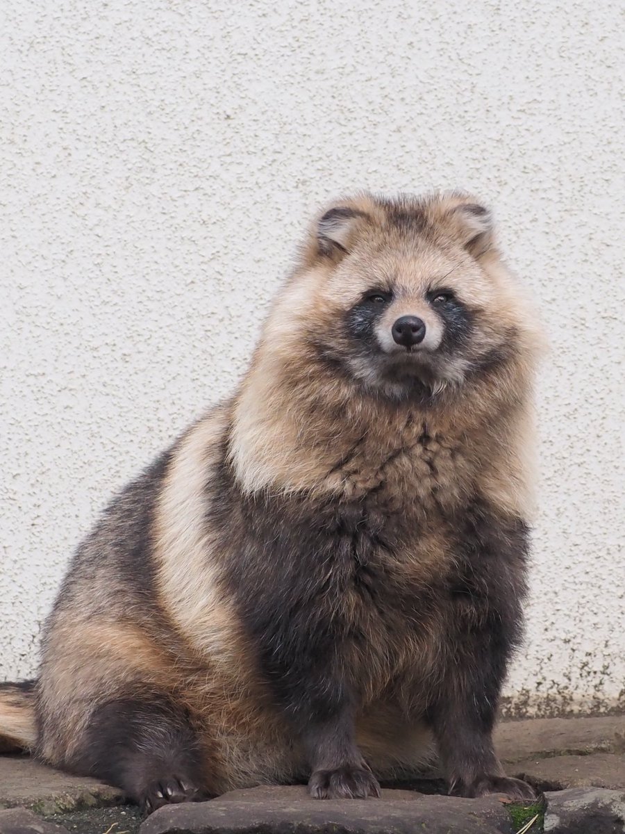 名無し (@tncthme) / Posts / X 名無し (@tncthme) / Posts / X