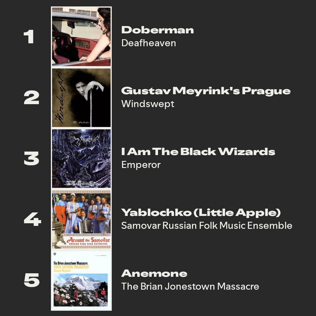 did the wrapped thing