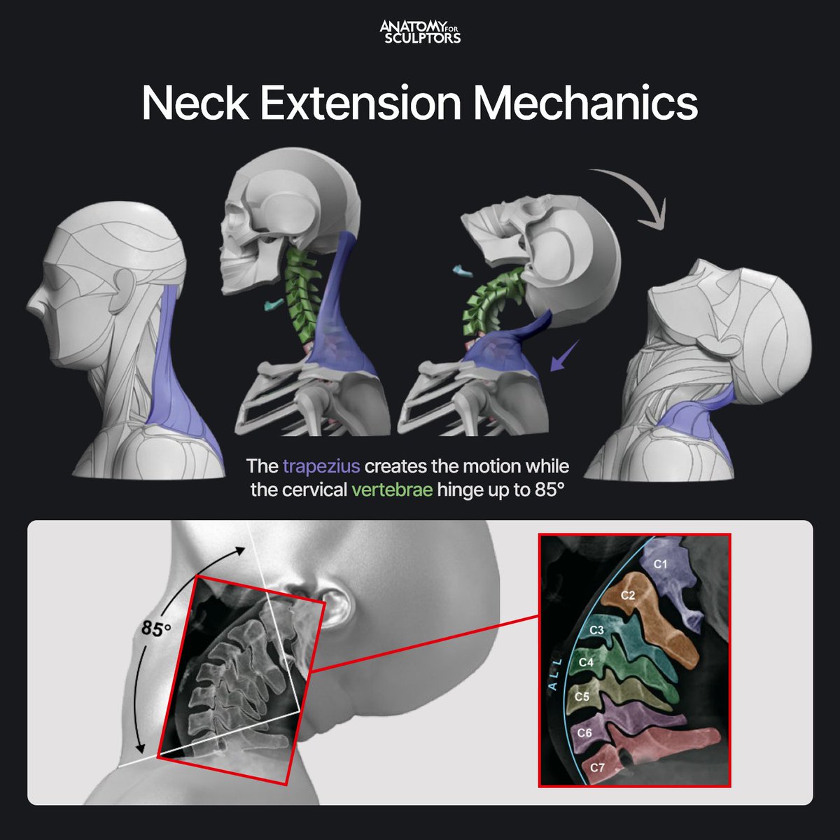 ユキページ yuki100(ユキ) (@yuki100aboa) / Posts / X