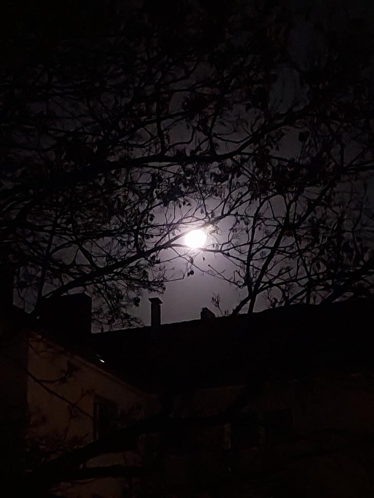 Schönen Abend liebe Freunde!🌛🎶✨️