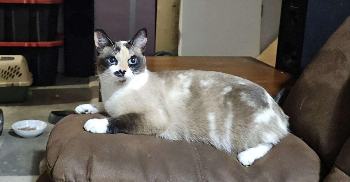 Kelly Eros tweet media