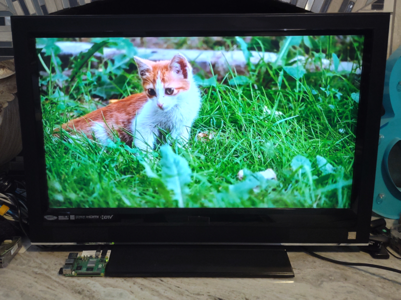 adafruit's tweet image. NEW LEARN GUIDE: Raspberry Pi Video Looper 2 #Raspberry Pi #AdafruitLearningSystem @adafruit blog.adafruit.com/2025/12/02/new…