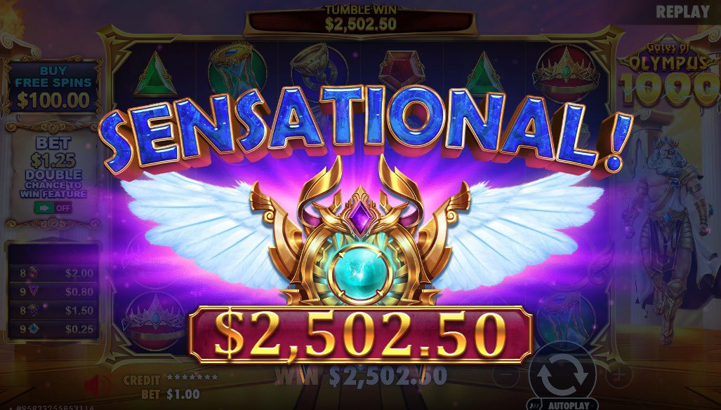 METAWIN.COM tweet media