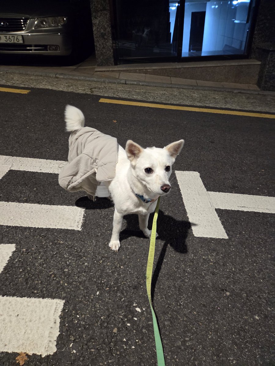 나무셀리 tweet media