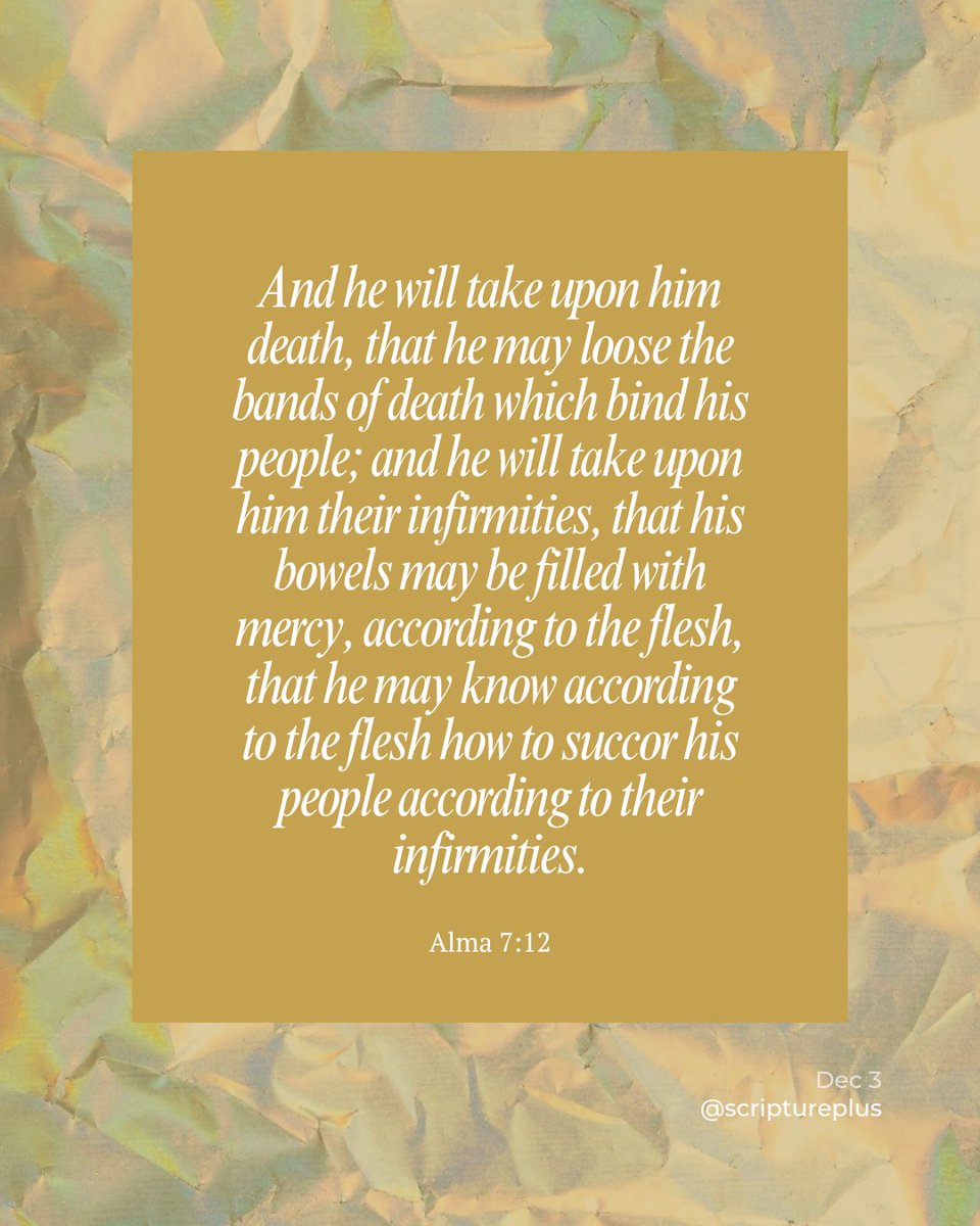 ScripturePlus's tweet image. 