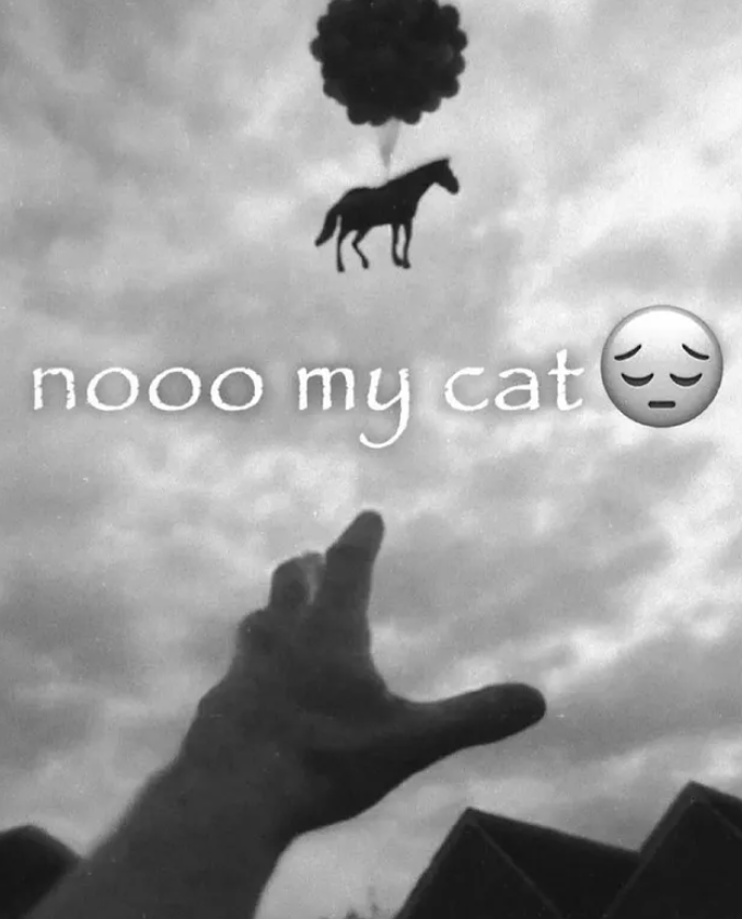 shitpost_2077's tweet image. 