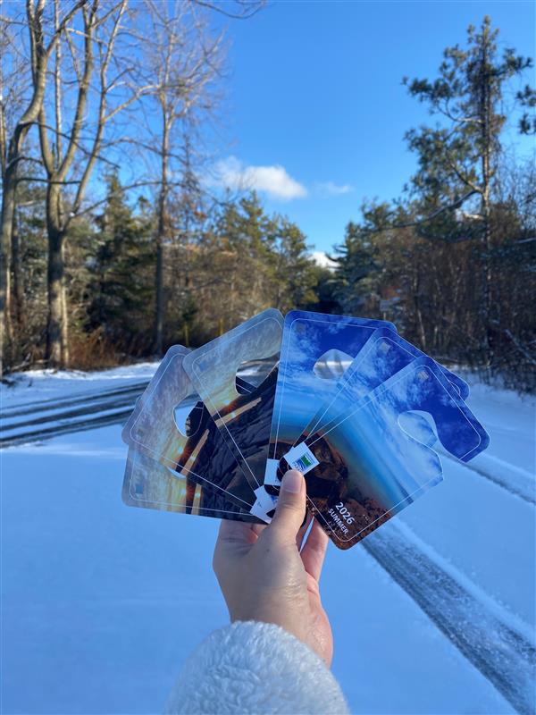 Long Point PP tweet media