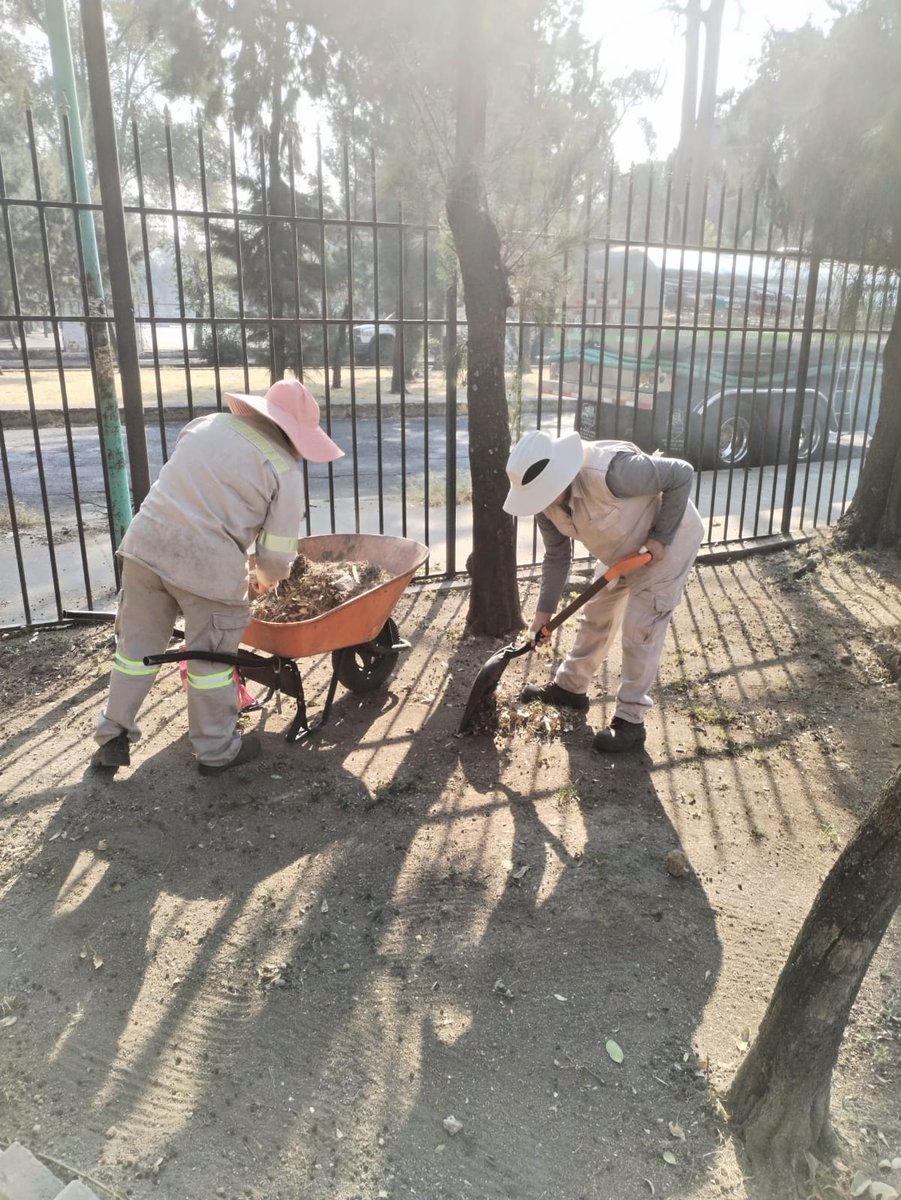 #BuenosDías🌤️

Realizamos trabajos de rehabilitación en el Parque Nicolás Bravo, como arbolado y reforestación en las áreas verdes, para que nuestras vecinas y vecinos puedan disfrutarlo muy pronto.🌳🌱

#ServiciosUrbanos
#ParquesYJardines 
#VCCercaDeSuGente